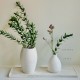 Elegance Vase Elegance Vase
