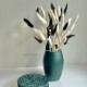 Elegance Vase Elegance Vase